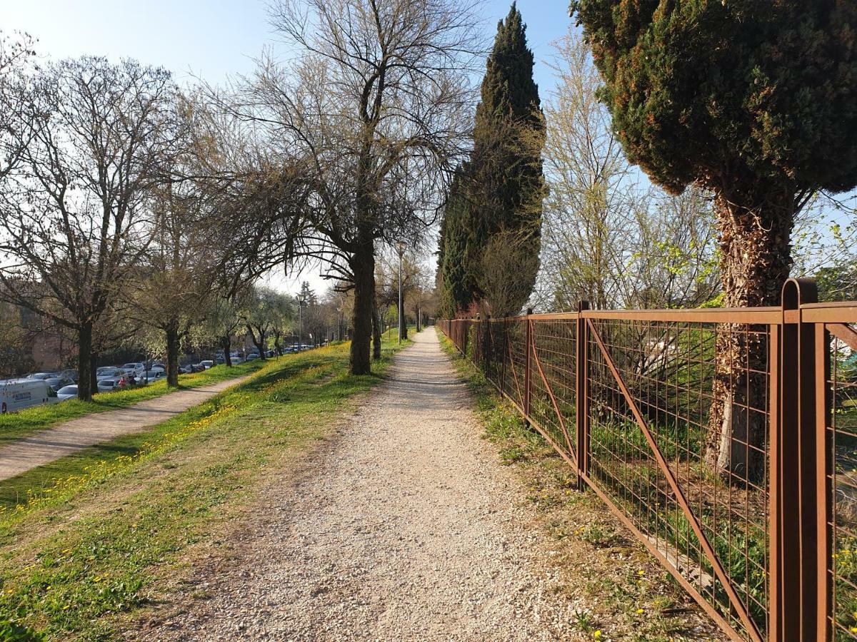 Divina San Zeno Daire Verona Dış mekan fotoğraf