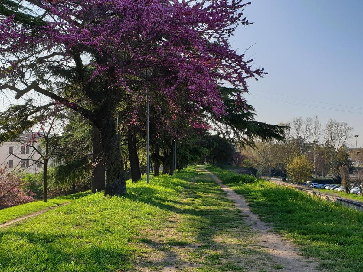 Divina San Zeno Daire Verona Dış mekan fotoğraf